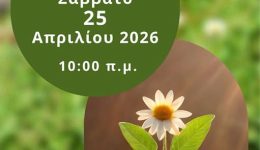 &Alpha;nthofitefsi-stin-platia-galarinou-to-2