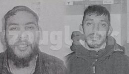 &Alpha;nthropokinigito-gia-ton-entopismo-ton