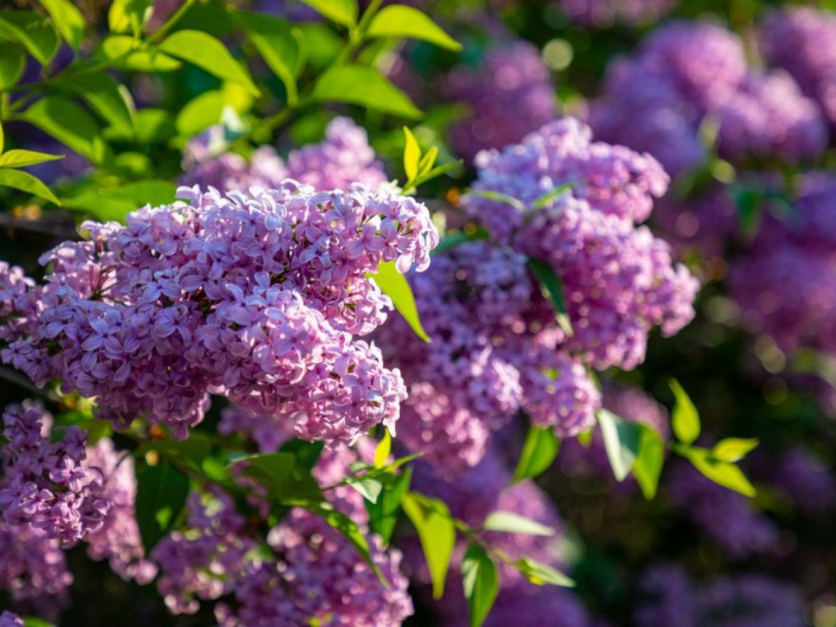 10 ελληνικά πασχαλινά έθιμα που η ιστορία τους χάνεται στους αιώνες