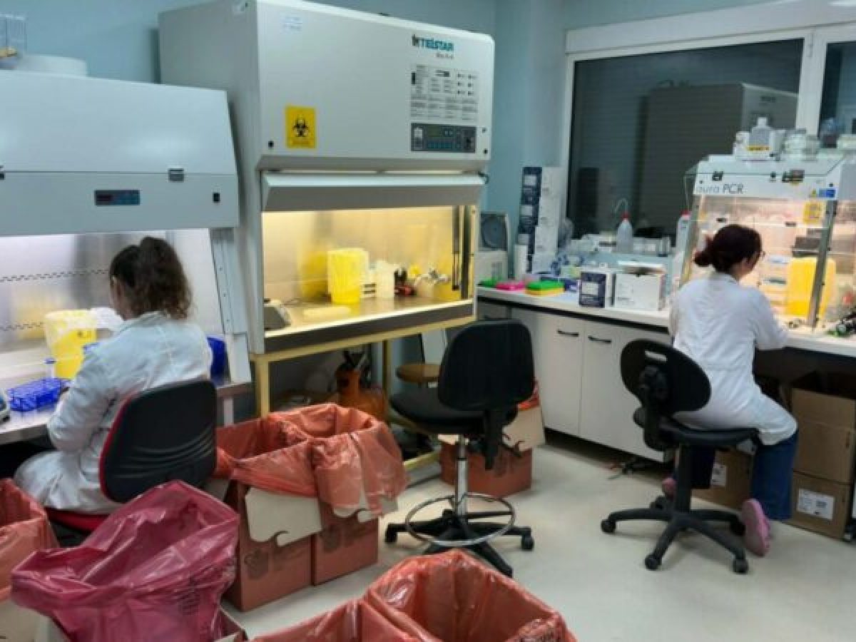 12.000 δείγματα ημερησίως
