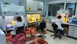 12.000-digmata-imerisios-1