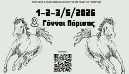 12i-panellinia-ippiki-sinantisi-filon