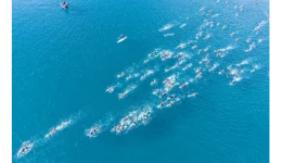 4os-therinos-kolimvitikos-diaplous-vouliagmenis-2