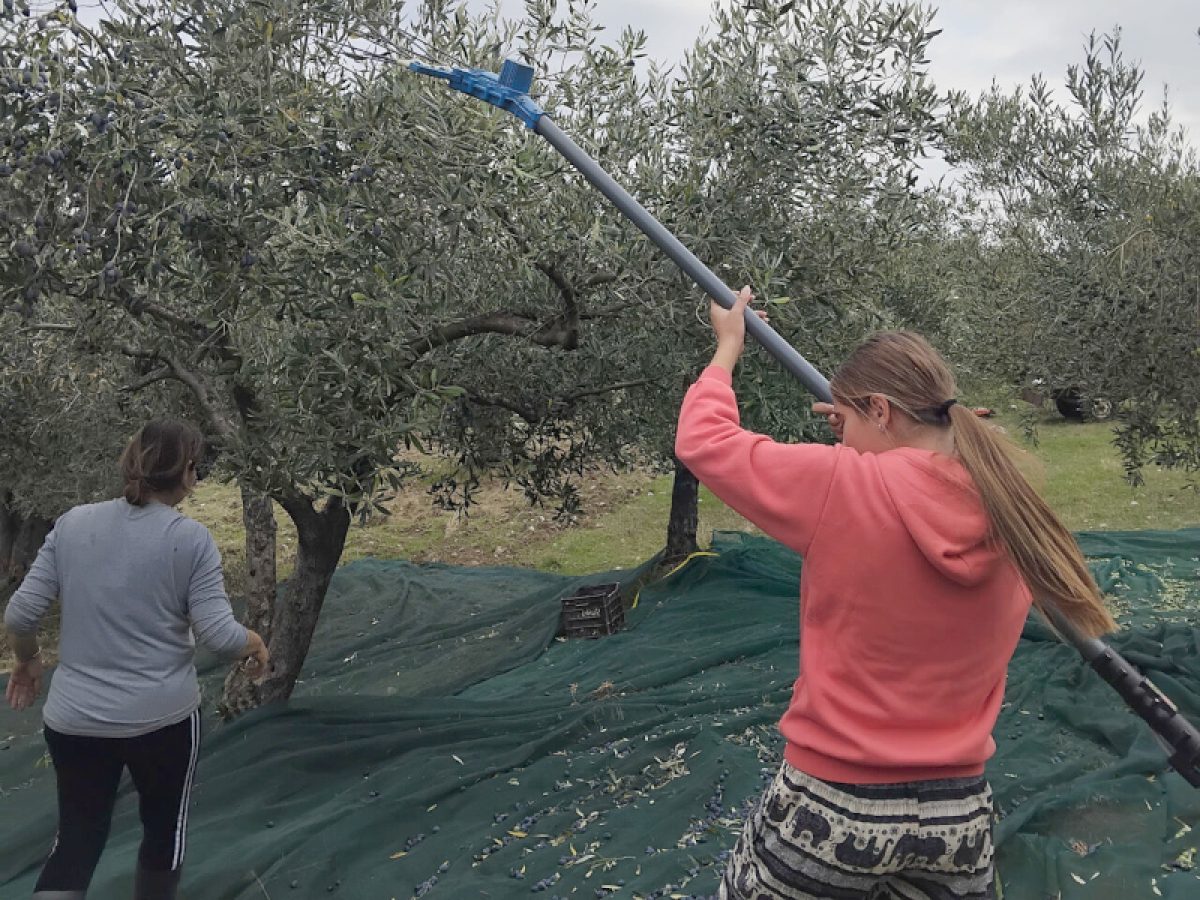 “Ancestors”: Ένα φωτογραφικό έργο για το τραύμα από τις καταστροφές στη Β. Εύβοια και την πορεία προς την ανάκαμψη