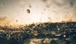 Chris-Kaltsas-x-Panos-Haritidis