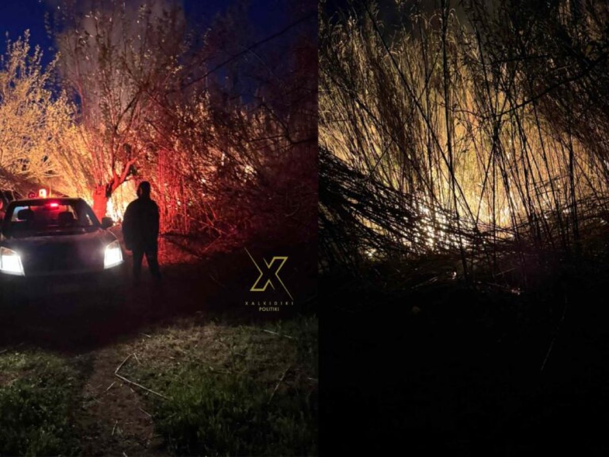 LIVE: Φωτιά Συκιά Χαλκιδικής Λαγκάδα Βίντεο από την κατάσβεση και την άμεση επέμβαση