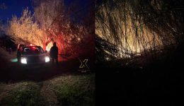 LIVE-fotia-sikia-chalkidikis-lagkada