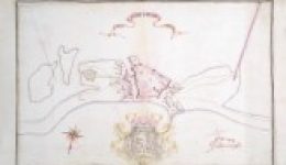 Pianta-di-Santa-Maura-tou-2