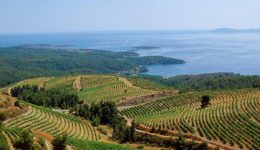 Porto-Carras-Athlos-i-megali