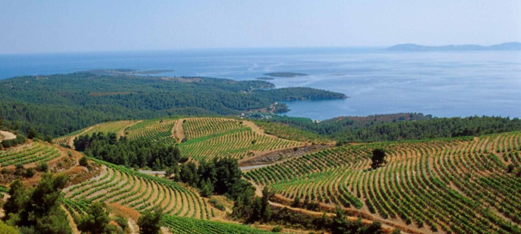 Porto-Carras-Athlos-i-megali