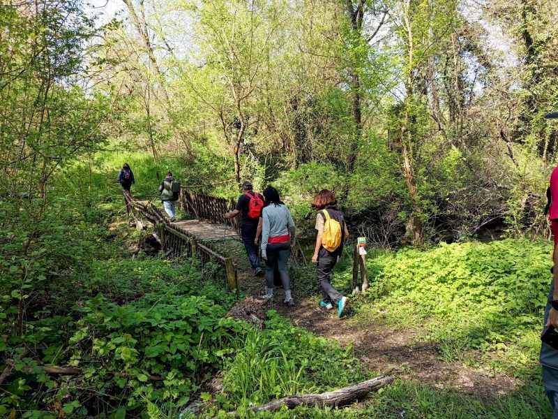 VFT-2026-mia-giorti-2