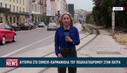 aftopsia-ipiresiakon-paragonton-sto-simio
