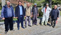 aftopsia-sta-erga-ke-tis