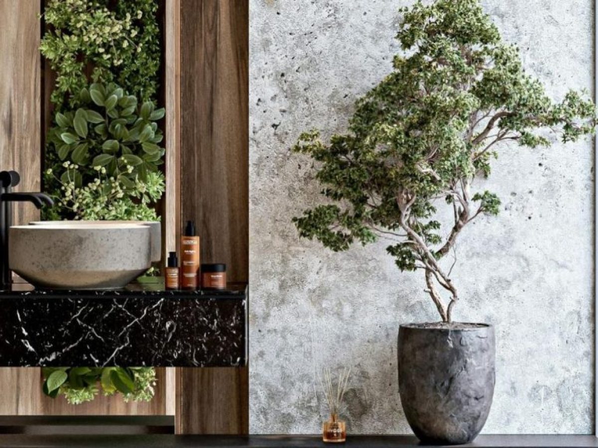 Μπάνιο χωρίς παράθυρο που θυμίζει σάουνα; Το φυτό που εξαφανίζει την υγρασία και φρεσκάρει την ατμόσφαιρα