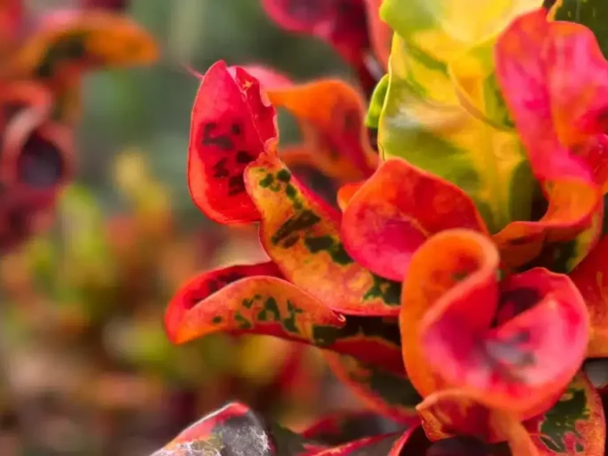 Μπάνιο πριν ξημερώσει, αλάτι και… μέτρημα χρημάτων -Τα πιο περίεργα έθιμα της Μεγάλης Πέμπτης