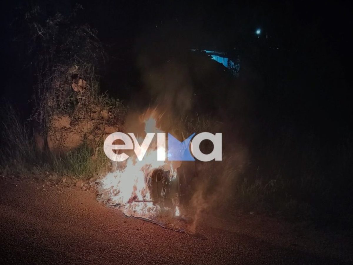 Μπαράζ πυρκαγιών σε κάδους στο Προκόπι Ευβοίας – Στο πόδι οι κάτοικοι
