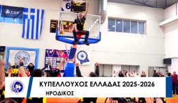 basket-me-amaxidio-kipellouchos-elladas