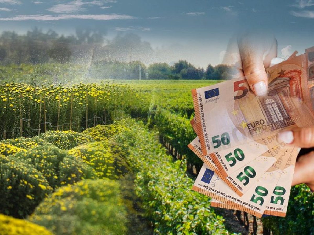 Χαλκιδική: Έρχονται χρήματα από το LEADER Έργα και πληρωμές μέχρι το τέλος του 2026