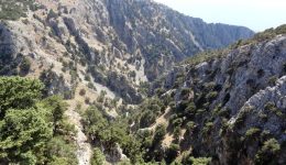 chania-epichirisi-apegklovismou-ginekas-sto-3