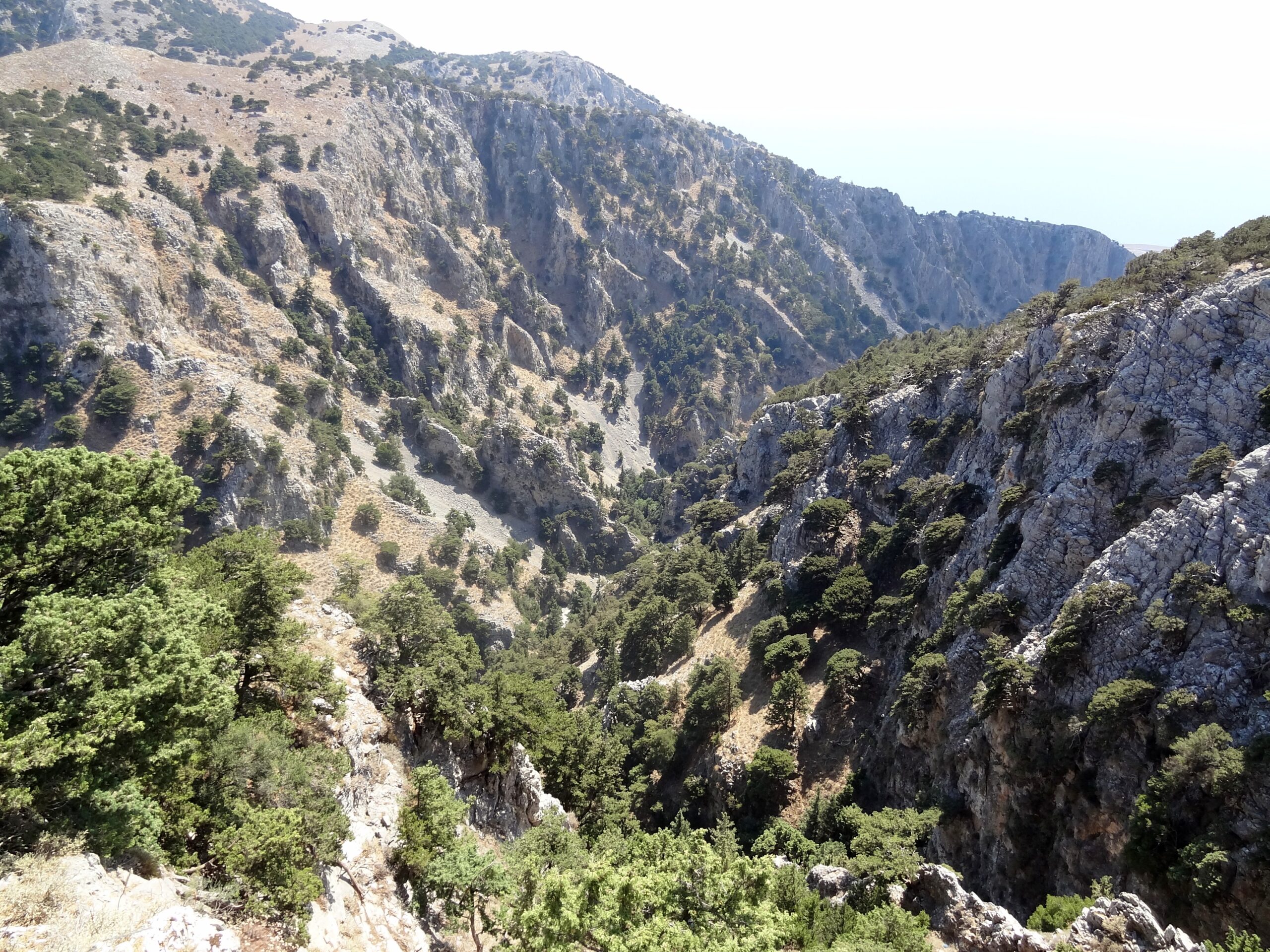 chania-epichirisi-apegklovismou-ginekas-sto-3