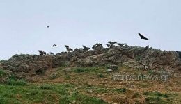 chania-monadiko-theama-sta-1