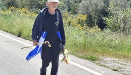 chania-o-theocharis-Αthitakis-xekinise