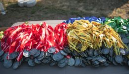 chania-ola-etima-gia-ton-1