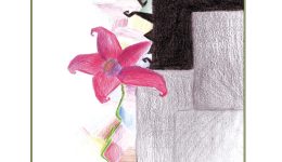 chania-plousio-to-programma