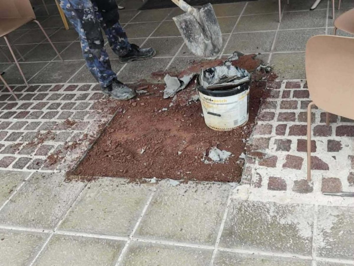 Χανιά: Ξερίζωσε δέντρο και έβαλε τραπεζοκαθίσματα – Μήνυση από τον δήμο Χανίων σε ιδιοκτήτη καφετέριας