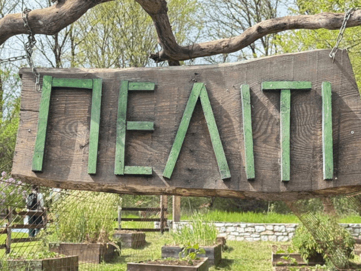 Χιλιάδες επισκέπτες και φέτος στο Πελίτι