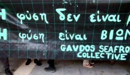 chΑniΑ-diamartiria-gia-ti-gavdo