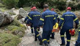 chΑniΑ-epichirisi-diasosis-55chronis-gallidas-2