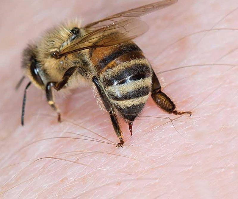 chΑniΑ-gineka-kindinefse-na-pethani-1