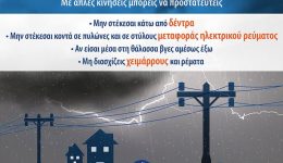 d.-trikkeon-odigies-prostasias-apo