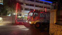 dasia-fotia-stin-paralia-&ndash;