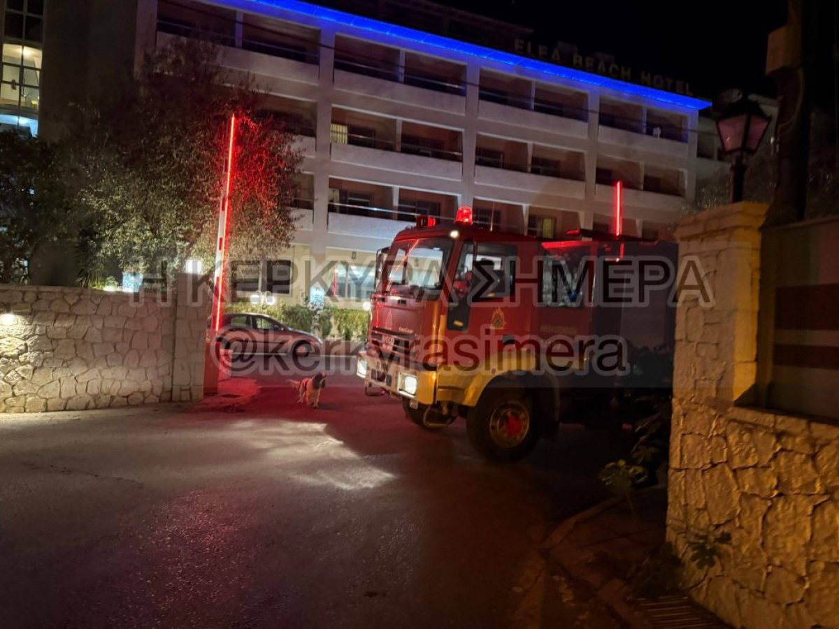 Δασιά: Φωτιά στην παραλία – Άμεση κατάσβεση με 3 οχήματα (vid)
