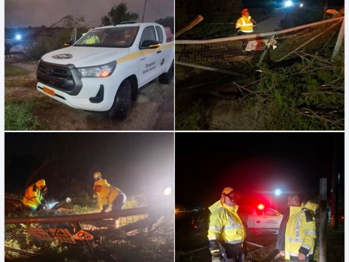 Δέντρο έπεσε στην αυλόπορτα ενός σπιτιού, με αποτέλεσμα να εγκλωβιστεί μια οικογένεια | Ανάρτηση Χ. Ναβροζίδη