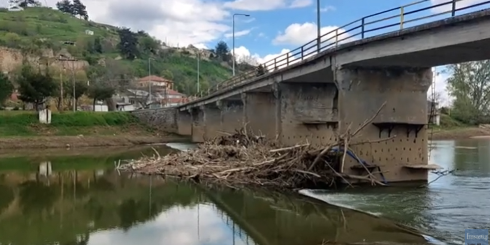 didimoticho-olokliri-kormi-dentron-ke