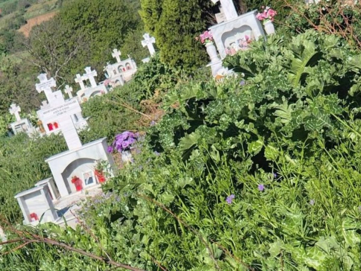 Διδυμότειχο: “Ζούγκλα” τα νεκροταφεία στο Ασπρονέρι – Εικόνες ντροπής, έντονες διαμαρτυρίες κατοίκων, Τοπικής Κοινότητας