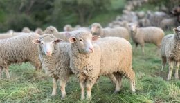 dievrinsi-apozimioseon-gia-evlogia-ke-1