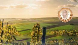 dikografia-opekepe-gia-kakourgima-i-1