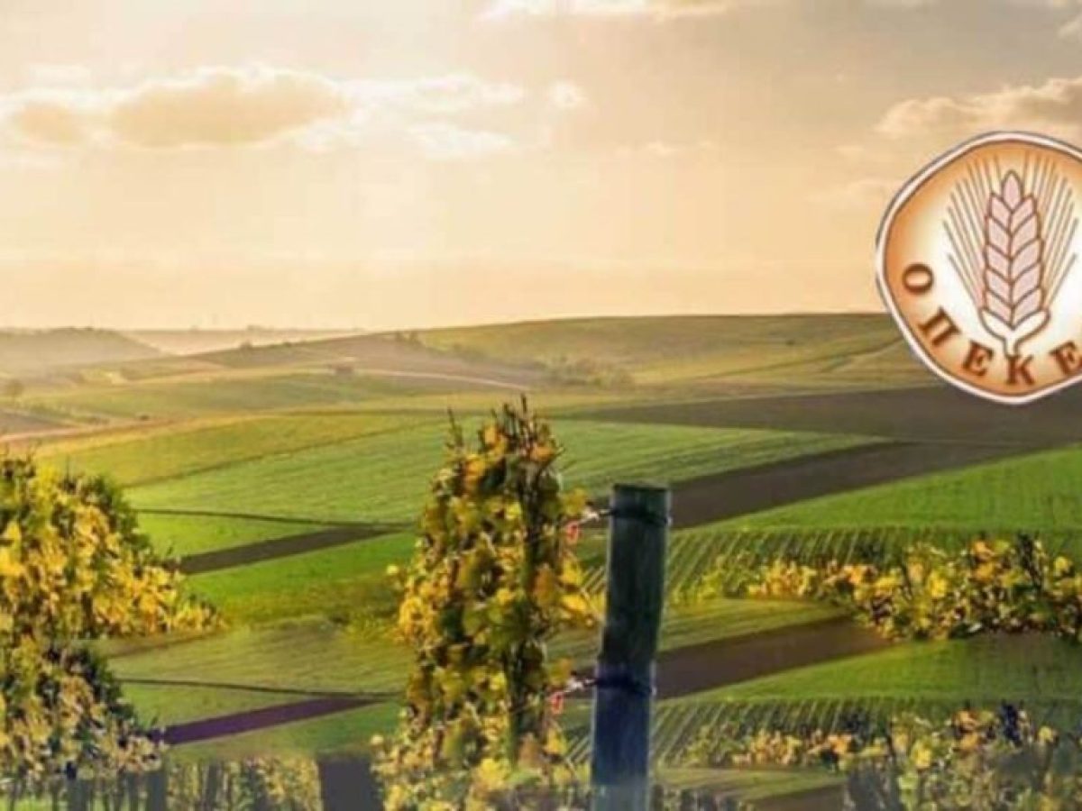 Δικογραφία ΟΠΕΚΕΠΕ: Για κακούργημα η Παπακώστα για πλημμελήματα ο Σκρέκας, σύμφωνα με δημοσιεύματα