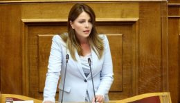 dilosi-tis-katerinas-papakosta-&ndash;