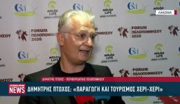 dimitris-ptochos-ti-ipe-gia