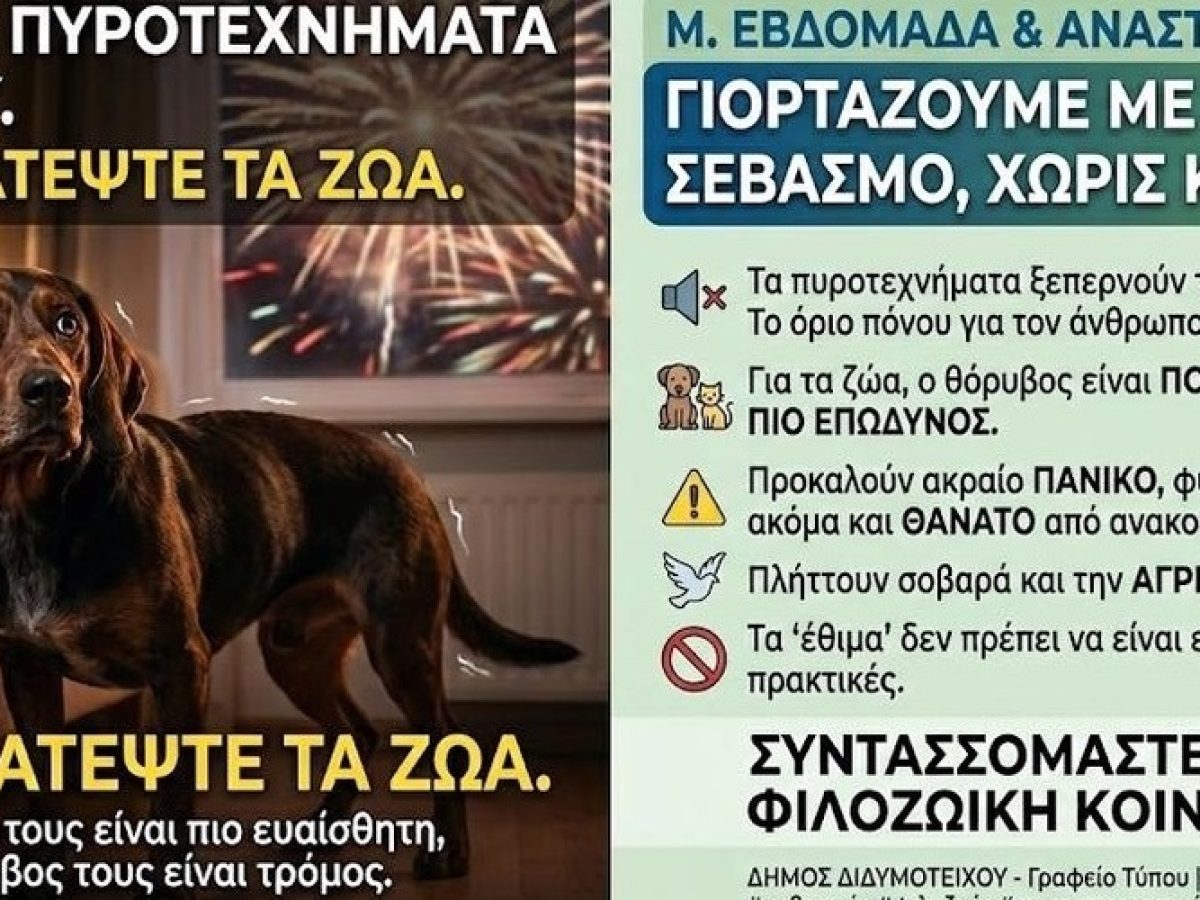 Δήμος Διδυμοτείχου: Με αθόρυβα πυροτεχνήματα ζητάει να γιορταστεί το Πάσχα, γιατί τρομάζουν τα ζώα