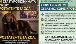 dimos-didimotichou-me-athoriva-pirotechnimata-1