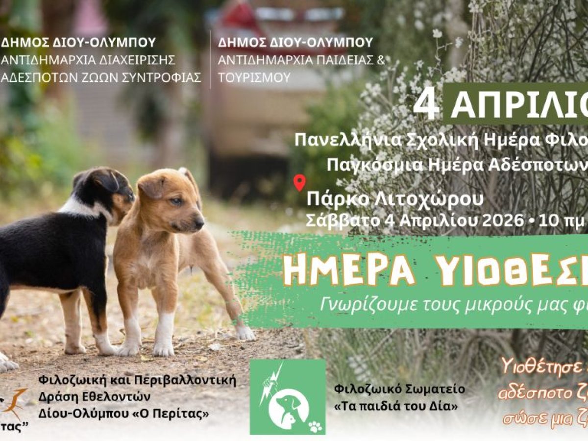 Δήμος Δίου-Ολύμπου: Πρόσκληση στην «Ημέρα υιοθεσίας αδέσποτων» το Σάββατο 4 Απριλίου στο Λιτόχωρο
