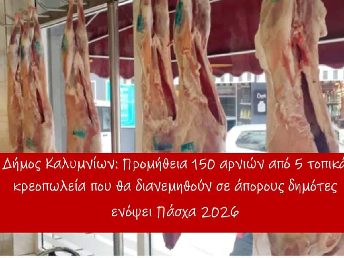 Δήμος Καλυμνίων: 150 αρνιά θα διανεμηθούν σε άπορες οικογένειες ενόψει Πάσχα 2026