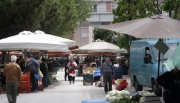 dimos-lamieon-litourgia-ton-laikon-1