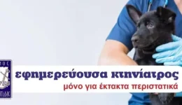 dimos-neas-propontidas-pios-ktiniatros